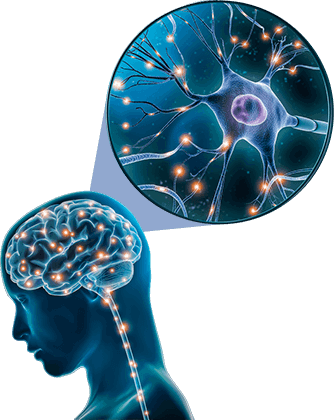 the memory breath program